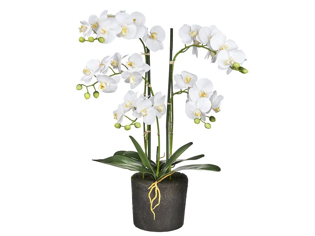 Kunstplant Orchidee / Phalaenopsis XL 5-tak wit H68cm - HTT Decorations