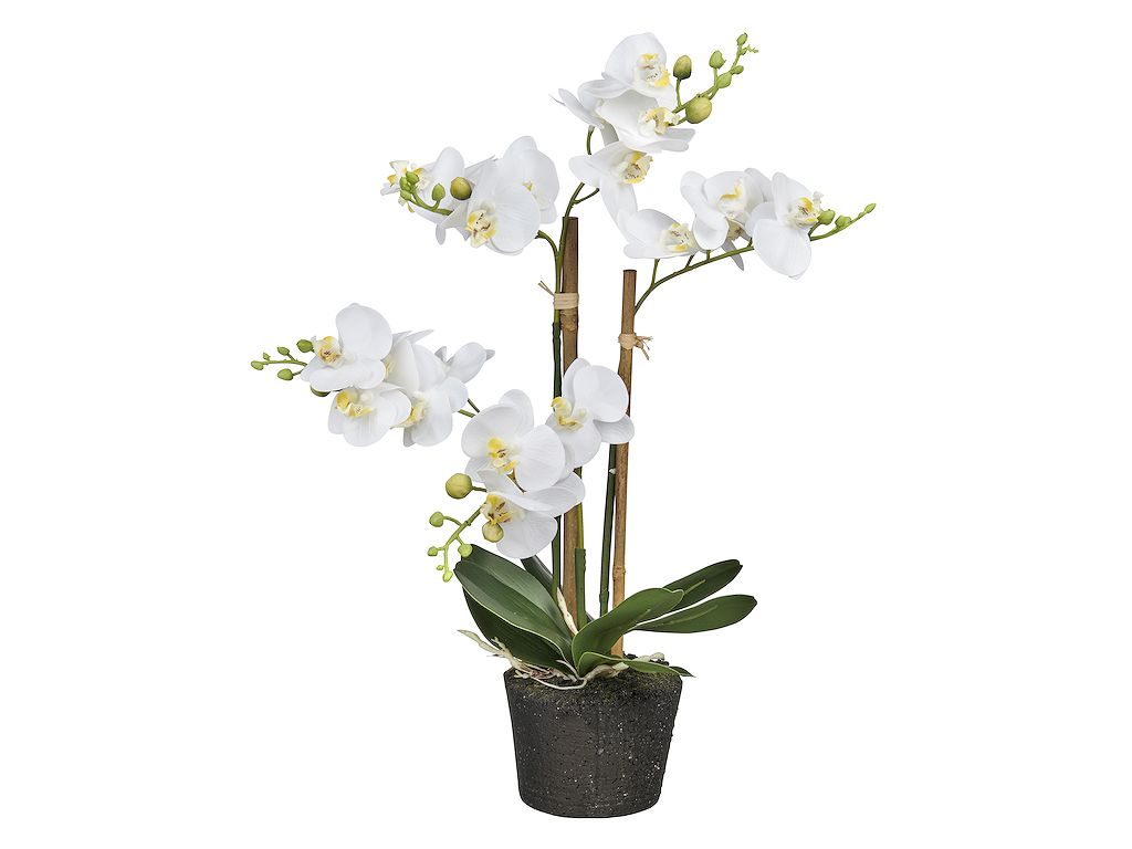 Kunstplant Orchidee / Phalaenopsis mini 3-tak wit H38cm - HTT Decorations
