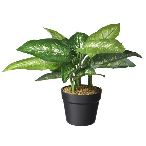 Kunstplant Dieffenbachia H45cm - HTT Decorations