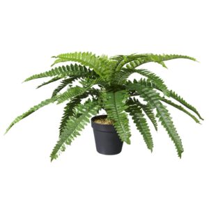 Kunstplant Nephrolepis/Varen H35cm - HTT Decorations