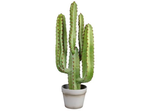 Kunstplant Cactus 4 stelen met sierpot (70x25cm) - Kunstplantshop.nl
