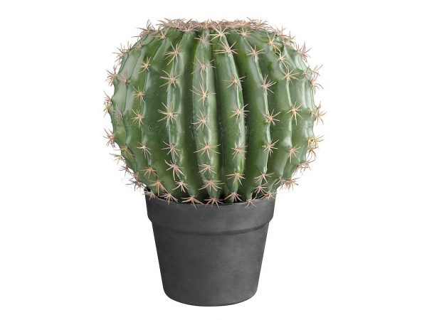 Kunstplant Cactus bol met sierpot (33x25 cm) - Kunstplantshop.nl