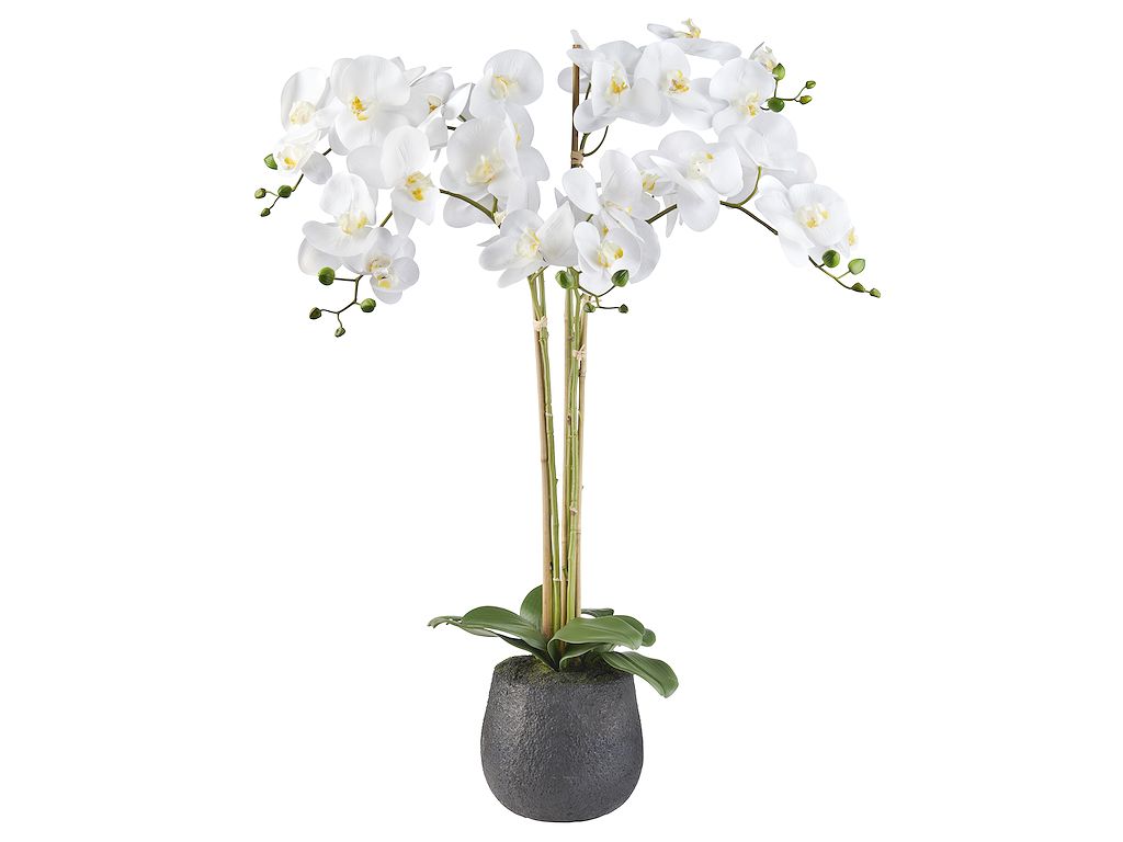 Op maat worm Allemaal HTT Decorations - Kunstplant Orchidee / Phalaenopsis XXL 5-tak wit H90cm -  Kunstplantshop.nl