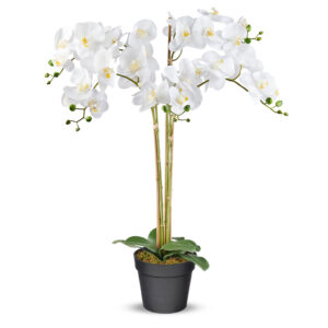 Kunstplant Orchidee / Phalaenopsis XXL 5-tak wit H95cm - HTT Decorations
