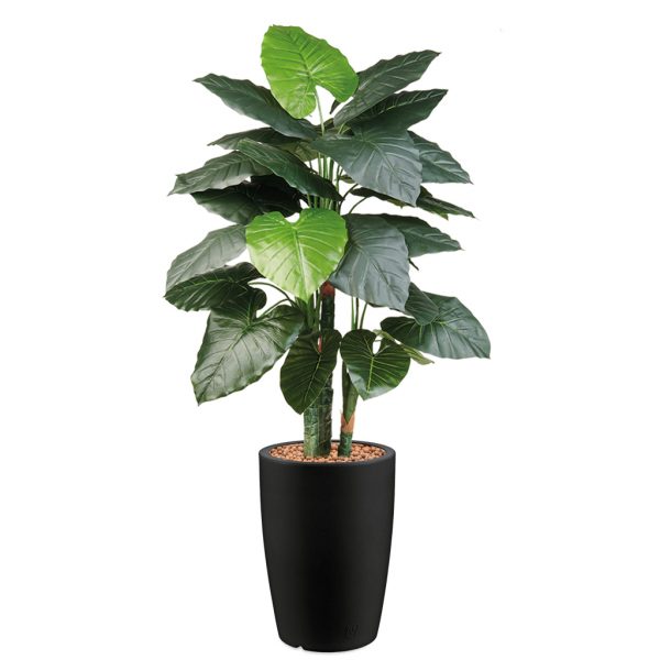 HTT - Kunstplant Philodendron in Genesis rond antraciet H150 cm - kunstplantshop.nl
