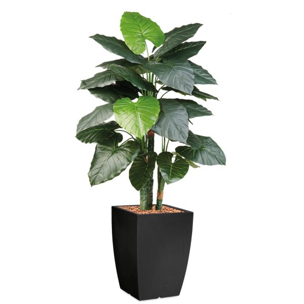 HTT - Kunstplant Philodendron in Genesis vierkant antraciet H150 cm - kunstplantshop.nl