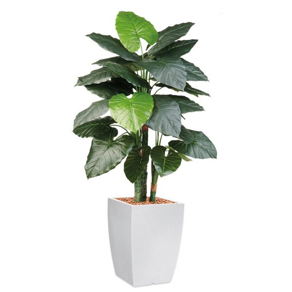 HTT - Kunstplant Philodendron in Genesis vierkant wit H150 cm - kunstplantshop.nl