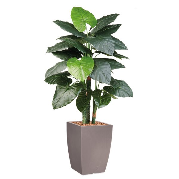 HTT - Kunstplant Philodendron in Genesis vierkant taupe H150 cm - kunstplantshop.nl