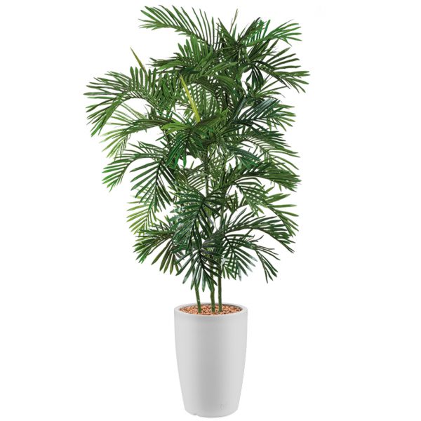 HTT - Kunstplant Areca palm in Genesis rond wit H210 cm - kunstplantshop.nl