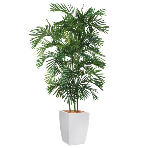 HTT - Kunstplant Areca palm in Genesis vierkant wit H210 cm - kunstplantshop.nl