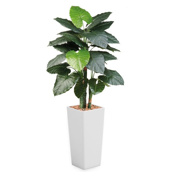 HTT - Kunstplant Philodendron in Clou vierkant wit H185 cm - kunstplantshop.nl