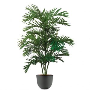 HTT - Kunstplant Areca palm in Eggy antraciet H160 cm - kunstplantshop.nl