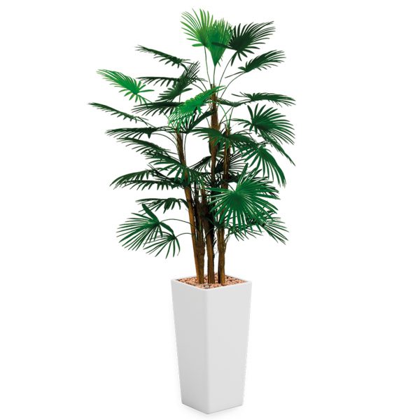 HTT - Kunstplant Rhapis palm in Clou vierkant wit H185 cm - kunstplantshop.nl