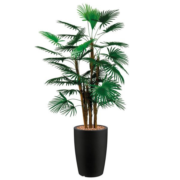 HTT - Kunstplant Rhapis palm in Genesis rond antraciet H150 cm - kunstplantshop.nl