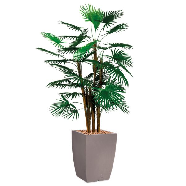 HTT - Kunstplant Rhapis palm in Genesis vierkant taupe H150 cm - kunstplantshop.nl
