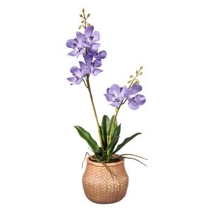 Kunstplant wilde Orchidee 2-tak lila H53cm - HTT Decorations
