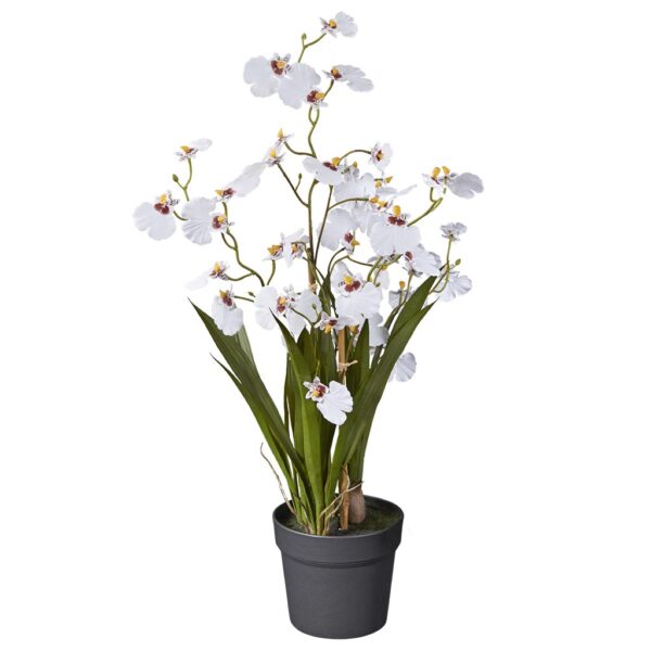 Kunstplant wilde Orchidee 2-tak wit H65cm - HTT Decorations