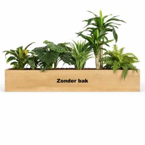 Kunstplantenpakket Bodegraven (t.b.v. kast 160 cm breed)