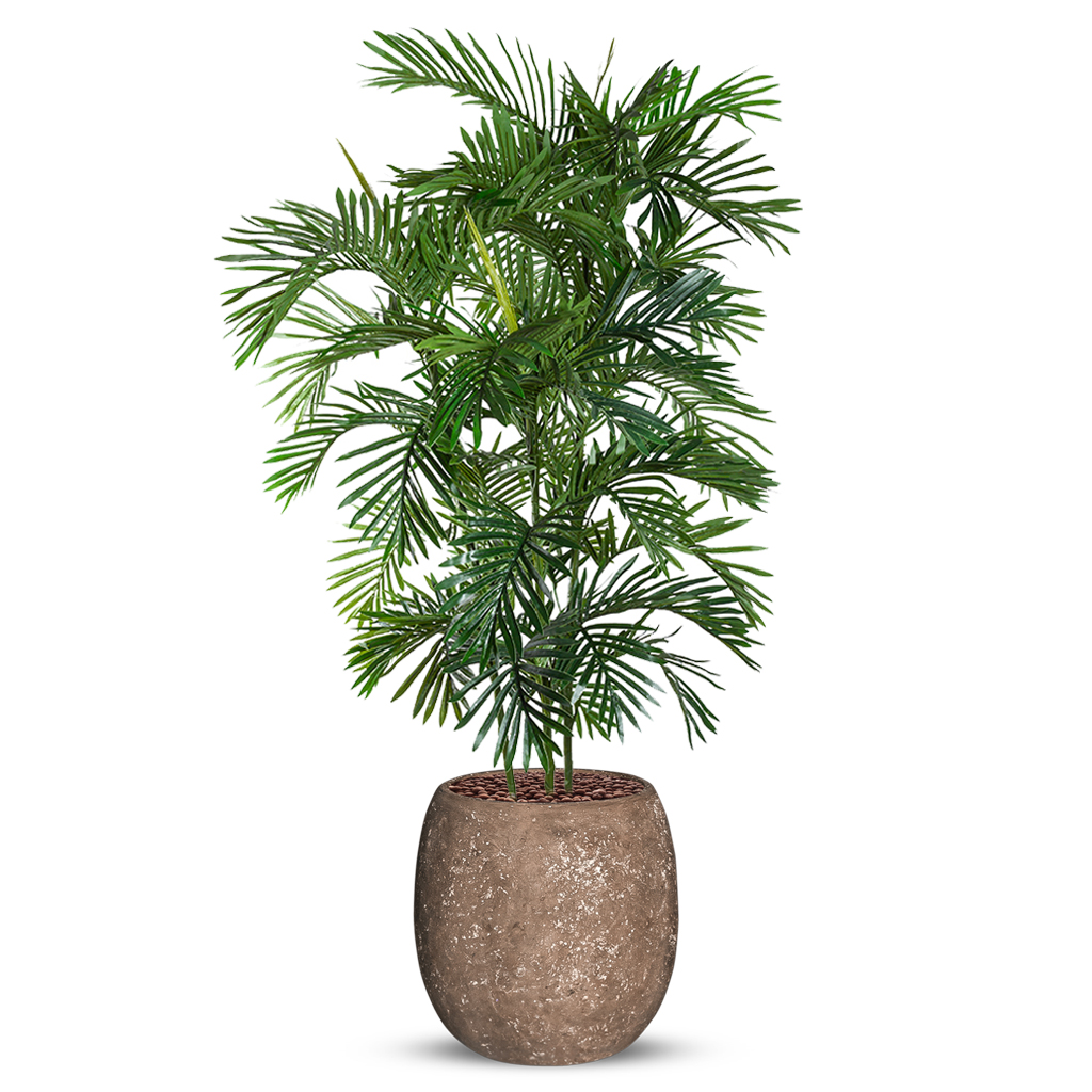 Kunstplant Areca palm in Polystone Coated Plain H185 cm