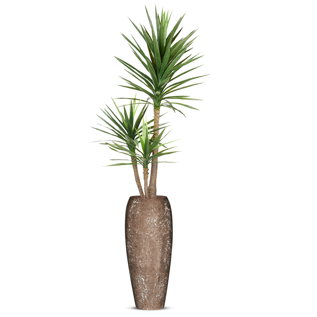 Kunstplant Yucca in Polystone Coated Plain H230 cm