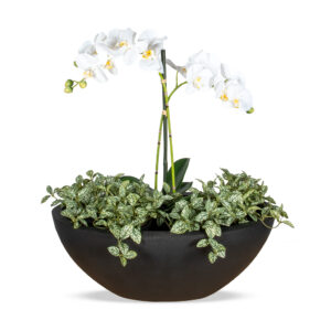 Kunstplant Phalaenopsis wit en Fittonia witgroen in pot ovaal matzwart H60 cm
