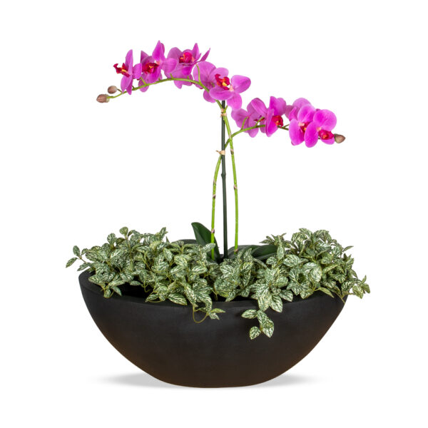 Kunstplant Phalaenopsis roze en Fittonia witgroen in pot ovaal matzwart H60 cm