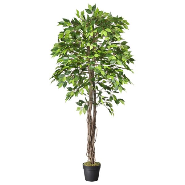 Kunstplant Ficus groen H180 cm - HTT Decorations