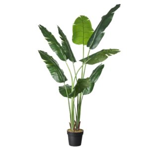 Kunstplant Strelitzia H160cm - HTT Decorations