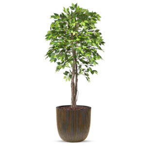Kunstplant Ficus groen in planter ball Groove goud H200 cm