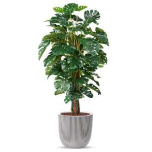 Kunstplant Monstera in planter ball Groove ivoor H170 cm
