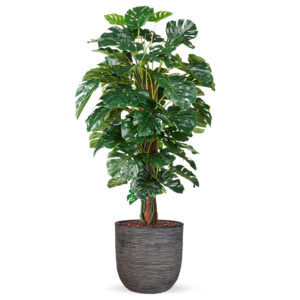 Kunstplant Monstera in planter ball Rib antraciet H170 cm