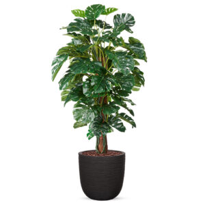 Kunstplant Monstera in planter ball Rib zwart H170 cm