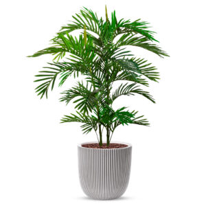 Kunstplant Arecapalm in Planter Ball groove ivoor H135 cm