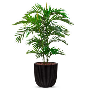 Kunstplant Arecapalm in Planter Ball groove zwart H135 cm