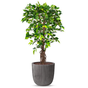 Kunstplant Ficus in Planter Ball groove antraciet H140 cm