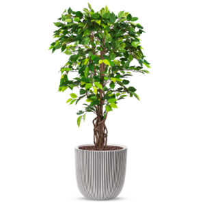 Kunstplant Ficus in Planter Ball groove ivoor H140 cm