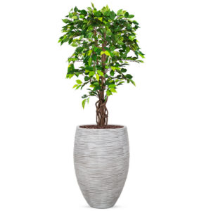 Kunstplant Ficus in Vaas elegant Deluxe rib ivoor H165 cm