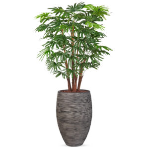 Kunstplant Fortuneipalm in Vaas elegant Deluxe rib antraciet H150 cm