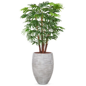 Kunstplant Fortuneipalm in Vaas elegant Deluxe rib ivoor H150 cm