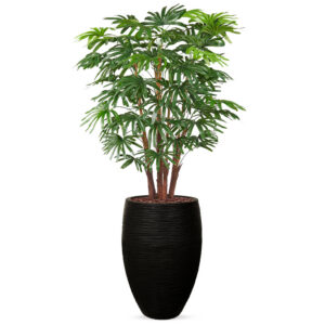 Kunstplant Fortuneipalm in Vaas elegant Deluxe rib zwart H150 cm