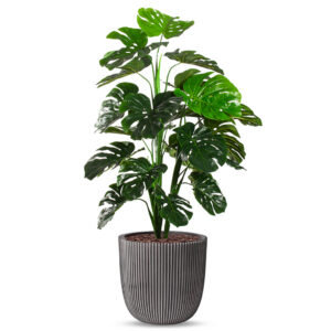 Kunstplant Monstera in Planter Ball groove antraciet H135 cm