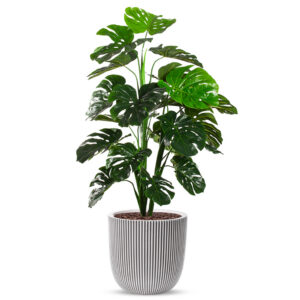 Kunstplant Monstera in Planter Ball groove ivoor H135 cm