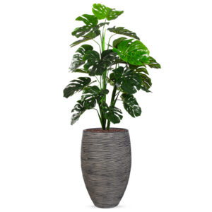 Kunstplant Monstera in Vaas elegant Deluxe rib antraciet H160 cm