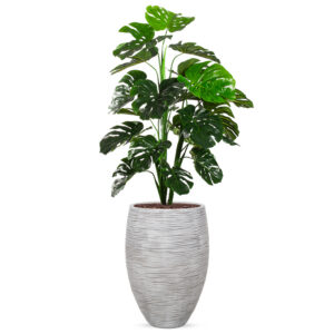 Kunstplant Monstera in Vaas elegant Deluxe rib ivoor H160 cm