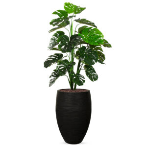Kunstplant Monstera in Vaas elegant Deluxe rib zwart H160 cm