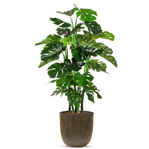 Kunstplant Monstera XL in Planter Ball groove zwartgoud H155 cm