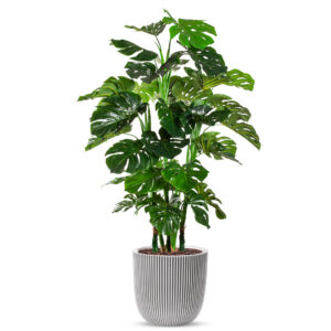 Kunstplant Monstera XL in Planter Ball groove ivoor H155 cm