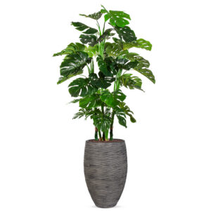 Kunstplant Monstera XL in Vaas elegant Deluxe rib antraciet H180 cm