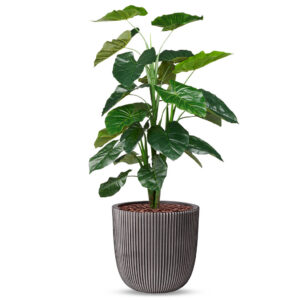Kunstplant Philodendron in Planter Ball groove antraciet H130 cm