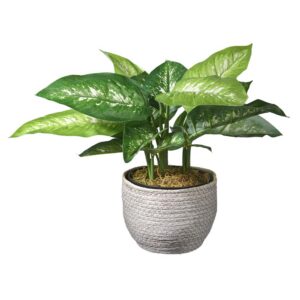 Kunstplant Dieffenbachia H45cm in mand grijs - HTT Decorations